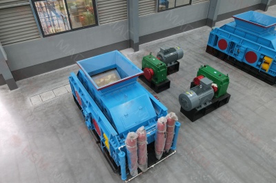 ѡ���������